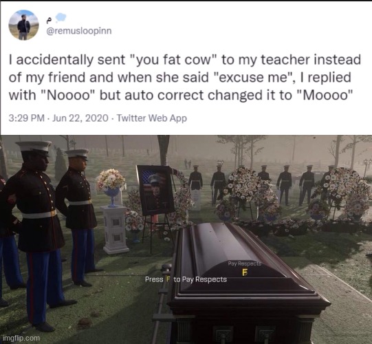 It is actually sad | image tagged in press f to pay respects | made w/ Imgflip meme maker