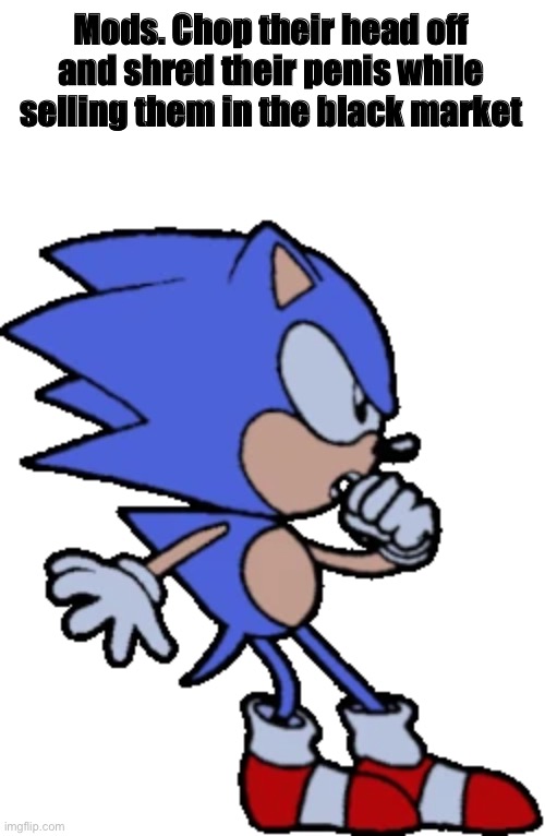 Mods. (Sonic CD) Blank Meme Template