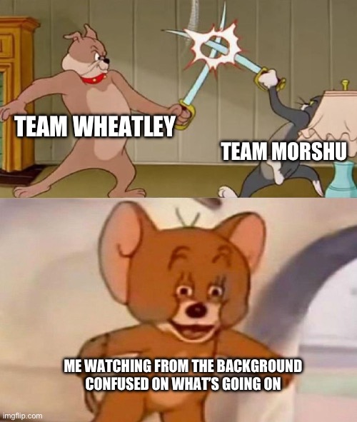 What are they?? | TEAM WHEATLEY; TEAM MORSHU; ME WATCHING FROM THE BACKGROUND CONFUSED ON WHAT’S GOING ON | image tagged in tom and jerry swordfight | made w/ Imgflip meme maker