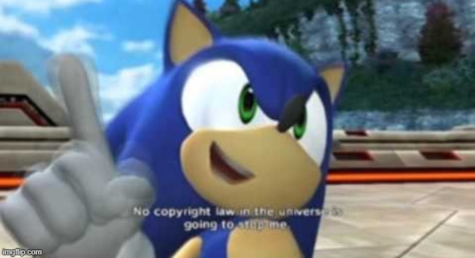 Sonic Says... | image tagged in sonic says | made w/ Imgflip meme maker