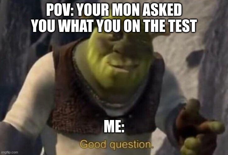 good question | POV: YOUR MON ASKED YOU WHAT YOU ON THE TEST; ME: | image tagged in shrek good question | made w/ Imgflip meme maker