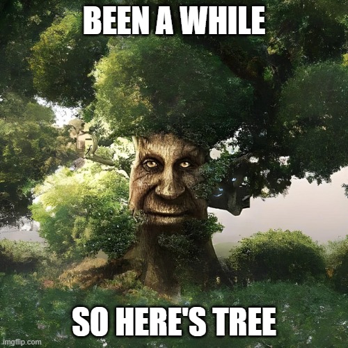 Tree | BEEN A WHILE; SO HERE'S TREE | image tagged in wise mystical tree | made w/ Imgflip meme maker