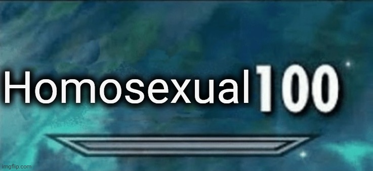 Skyrim skill 100 blank fixed textbox | Homosexual | image tagged in skyrim skill 100 blank fixed textbox | made w/ Imgflip meme maker