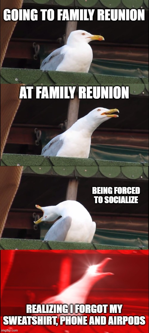 my ASD just has to do this :( | GOING TO FAMILY REUNION; AT FAMILY REUNION; BEING FORCED TO SOCIALIZE; REALIZING I FORGOT MY SWEATSHIRT, PHONE AND AIRPODS | image tagged in memes,inhaling seagull | made w/ Imgflip meme maker