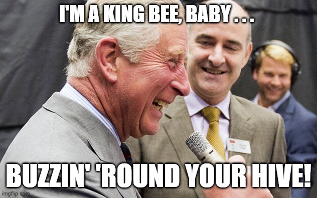 King Charles III, Blues Singer | I'M A KING BEE, BABY . . . BUZZIN' 'ROUND YOUR HIVE! | image tagged in king charles,blues singer,king bee | made w/ Imgflip meme maker