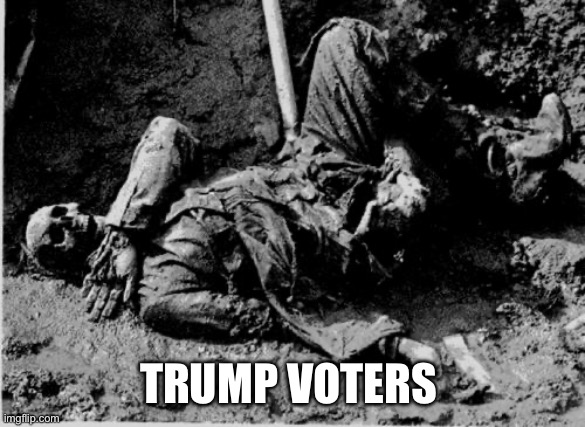well rotting corpse | TRUMP VOTERS | image tagged in well rotting corpse | made w/ Imgflip meme maker