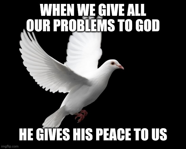 DOVE PIGEON LOVE PEACE HAPPINESS | WHEN WE GIVE ALL OUR PROBLEMS TO GOD; HE GIVES HIS PEACE TO US | image tagged in dove pigeon love peace happiness | made w/ Imgflip meme maker