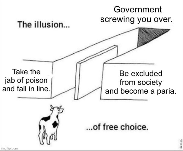Vaccinate or outcast | Government screwing you over. Take the jab of poison and fall in line. Be excluded from society and become a paria. | image tagged in illusion of free choice | made w/ Imgflip meme maker