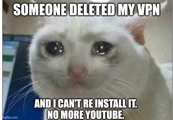 the program I use to install the VPN needs a VPN itself | SOMEONE DELETED MY VPN; AND I CAN'T RE INSTALL IT.
NO MORE YOUTUBE. | image tagged in crying cat | made w/ Imgflip meme maker