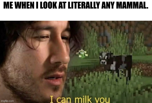 Why am i like this. | ME WHEN I LOOK AT LITERALLY ANY MAMMAL. | image tagged in i can milk you | made w/ Imgflip meme maker