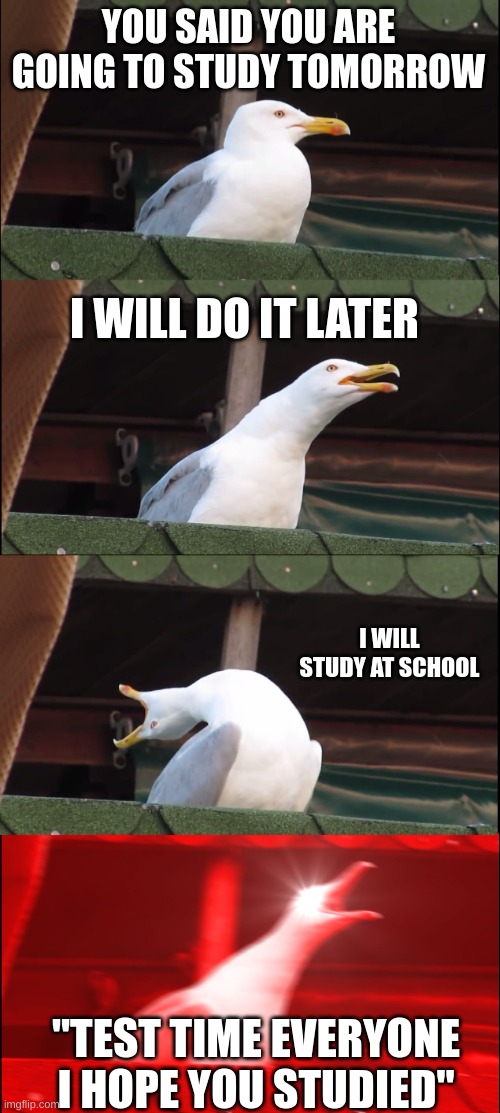Lars1405! | YOU SAID YOU ARE GOING TO STUDY TOMORROW; I WILL DO IT LATER; I WILL STUDY AT SCHOOL; "TEST TIME EVERYONE I HOPE YOU STUDIED" | image tagged in memes,inhaling seagull | made w/ Imgflip meme maker