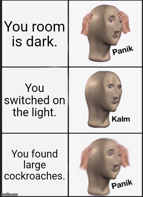 Panik Kalm Panik Meme | You room is dark. You switched on the light. You found large cockroaches. | image tagged in memes,roach,dark | made w/ Imgflip meme maker
