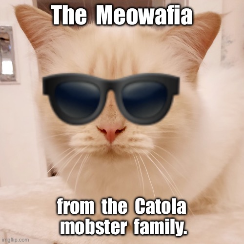 Meow-afia | The  Meowafia; from  the  Catola  mobster  family. | image tagged in cat with sunglasses emoji,the catola family,mobster,fun | made w/ Imgflip meme maker