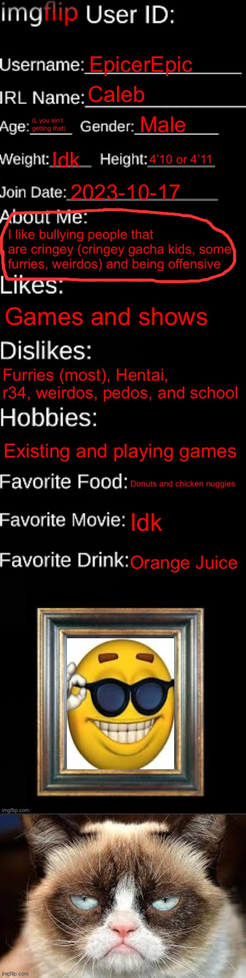 bruh, are you sure bullying furries are funny? | image tagged in not funny | made w/ Imgflip meme maker