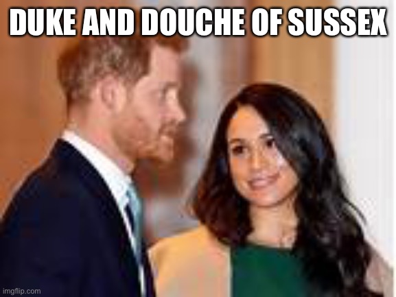 I spelled that right, didn’t I? | DUKE AND DOUCHE OF SUSSEX | image tagged in duke,sussex,douche | made w/ Imgflip meme maker