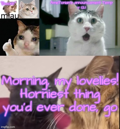 AmeTonian's announcement Temp v 1.2.1 | Morning, my lovelies!
Horniest thing you'd ever done, go | image tagged in ametonian's announcement temp v 1 2 1 | made w/ Imgflip meme maker