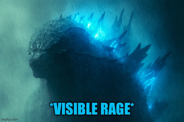 The King Disapproves | *VISIBLE RAGE* | image tagged in the king disapproves | made w/ Imgflip meme maker