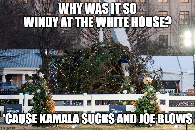 Wind knocks down white house Christmas tree | WHY WAS IT SO WINDY AT THE WHITE HOUSE? 'CAUSE KAMALA SUCKS AND JOE BLOWS | made w/ Imgflip meme maker