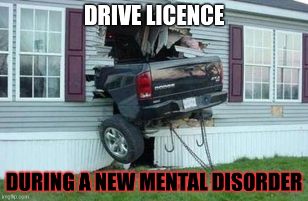 Proud to Fool | DRIVE LICENCE; DURING A NEW MENTAL DISORDER | image tagged in funny car crash | made w/ Imgflip meme maker