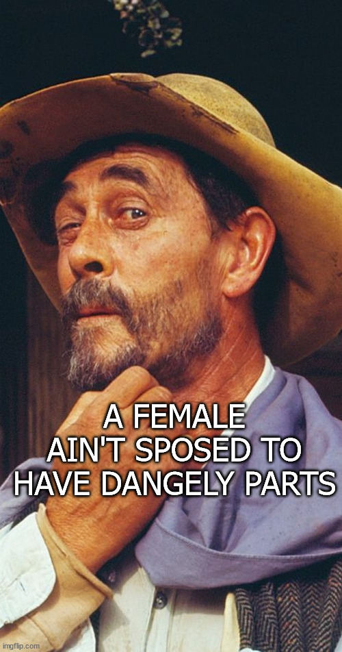 Dangly Parts | A FEMALE AIN'T SPOSED TO HAVE DANGELY PARTS | image tagged in festus | made w/ Imgflip meme maker