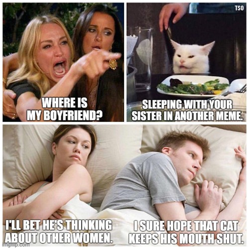 Woman Cat | image tagged in woman cat | made w/ Imgflip meme maker