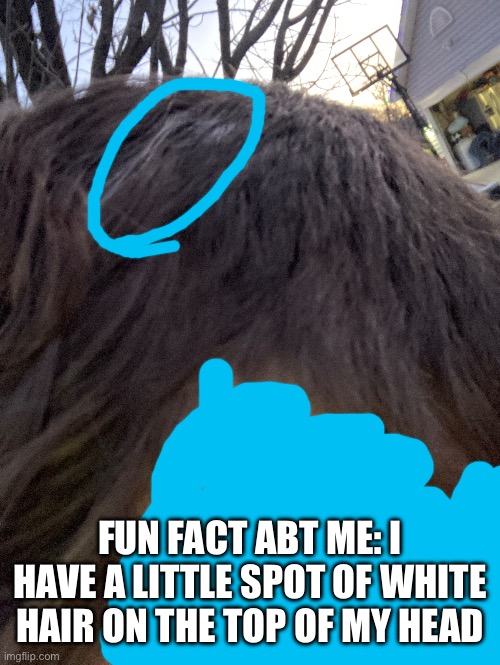 FUN FACT ABT ME: I HAVE A LITTLE SPOT OF WHITE HAIR ON THE TOP OF MY HEAD | made w/ Imgflip meme maker