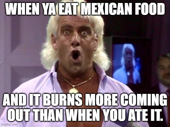 Ric flair friday | WHEN YA EAT MEXICAN FOOD; AND IT BURNS MORE COMING OUT THAN WHEN YOU ATE IT. | image tagged in ric flair friday | made w/ Imgflip meme maker