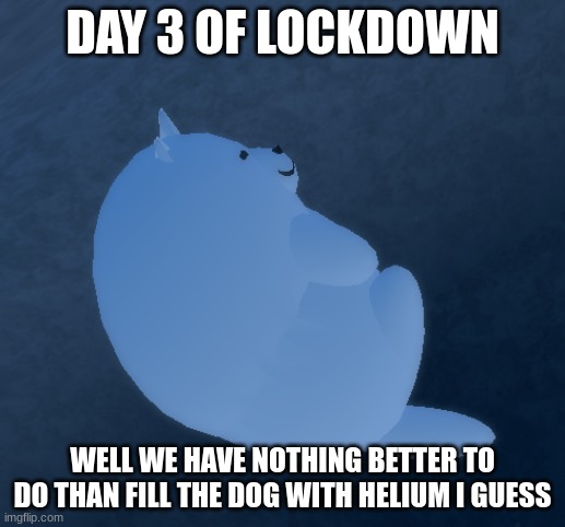 giant dog on ceiling | DAY 3 OF LOCKDOWN; WELL WE HAVE NOTHING BETTER TO DO THAN FILL THE DOG WITH HELIUM I GUESS | image tagged in giant dog on ceiling,dogs,lockdown,coronavirus,covid-19 | made w/ Imgflip meme maker