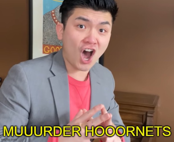 MURDER HORNETS | image tagged in murder hornets | made w/ Imgflip meme maker