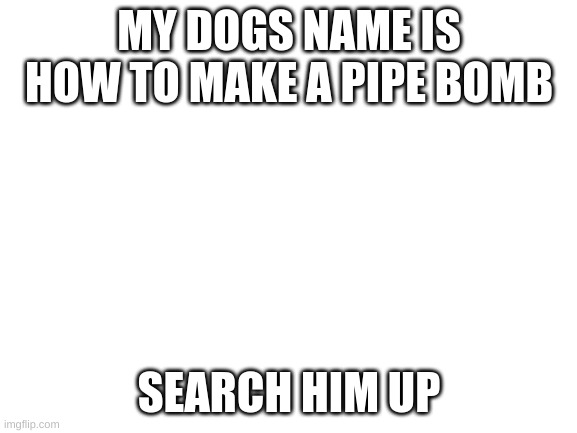 do it | MY DOGS NAME IS HOW TO MAKE A PIPE BOMB; SEARCH HIM UP | image tagged in blank white template,bomb,just do it,name,hehehe | made w/ Imgflip meme maker