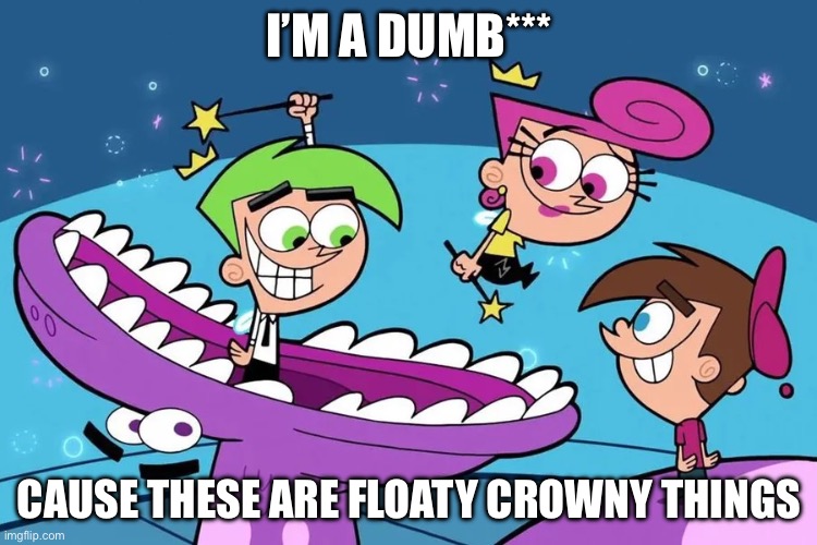 I’m a dumb*** | I’M A DUMB***; CAUSE THESE ARE FLOATY CROWNY THINGS | image tagged in floaty crowny things | made w/ Imgflip meme maker
