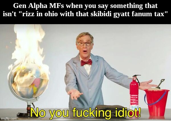 No you f*cking idiot! | Gen Alpha MFs when you say something that isn't "rizz in ohio with that skibidi gyatt fanum tax" | image tagged in no you f cking idiot | made w/ Imgflip meme maker