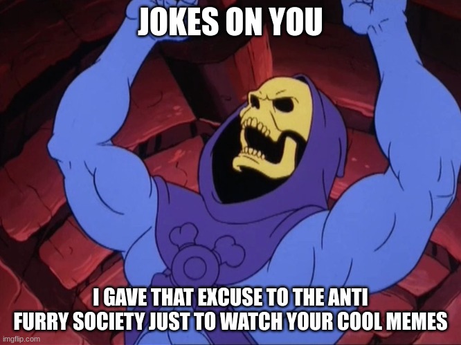 Skeletor | JOKES ON YOU I GAVE THAT EXCUSE TO THE ANTI FURRY SOCIETY JUST TO WATCH YOUR COOL MEMES | image tagged in skeletor | made w/ Imgflip meme maker