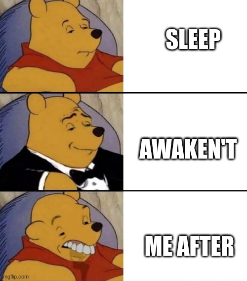 Fancy Winnie the Pooh - Smart,Gentlemen and Dumb | SLEEP AWAKEN'T ME AFTER | image tagged in fancy winnie the pooh - smart gentlemen and dumb | made w/ Imgflip meme maker