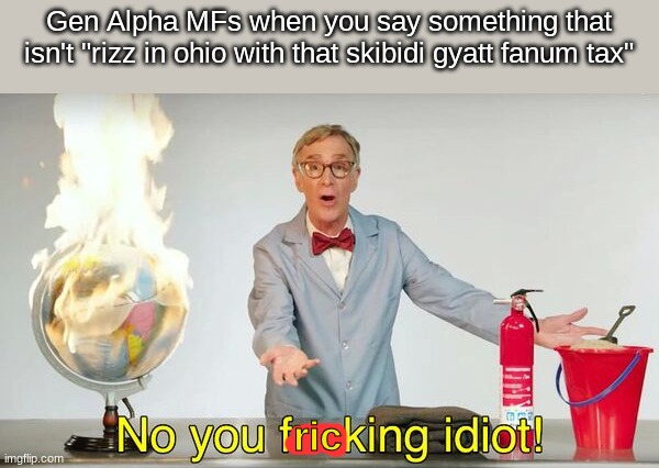 fr | Gen Alpha MFs when you say something that isn't "rizz in ohio with that skibidi gyatt fanum tax"; ric | image tagged in no you f cking idiot,memes | made w/ Imgflip meme maker