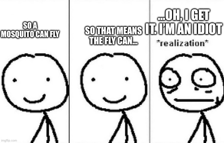 Realization | SO A MOSQUITO CAN FLY SO THAT MEANS THE FLY CAN… …OH, I GET IT. I’M AN IDIOT | image tagged in realization | made w/ Imgflip meme maker