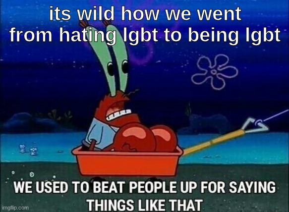 Mr. Krabs We used to beat people up for saying things like that | its wild how we went from hating lgbt to being lgbt | image tagged in mr krabs we used to beat people up for saying things like that | made w/ Imgflip meme maker