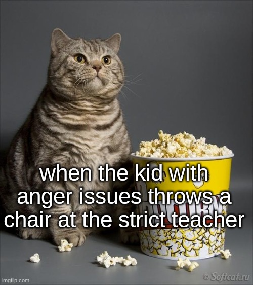 Cat eating popcorn | when the kid with anger issues throws a chair at the strict teacher | image tagged in cat eating popcorn | made w/ Imgflip meme maker