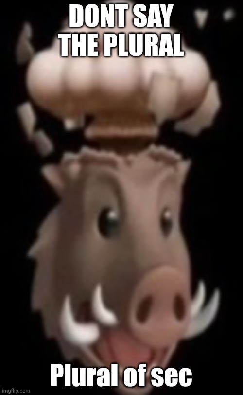 stupendous | DONT SAY THE PLURAL Plural of sec | image tagged in stupendous | made w/ Imgflip meme maker