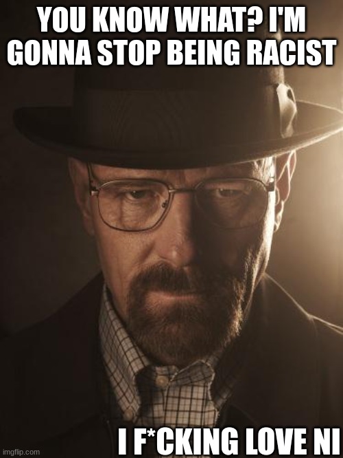 Walter White | YOU KNOW WHAT? I'M GONNA STOP BEING RACIST; I F*CKING LOVE NI | image tagged in walter white | made w/ Imgflip meme maker