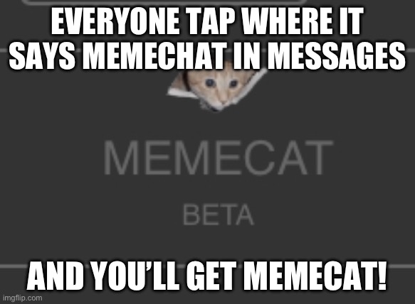 It works try it! | EVERYONE TAP WHERE IT SAYS MEMECHAT IN MESSAGES; AND YOU’LL GET MEMECAT! | image tagged in oh wow are you actually reading these tags | made w/ Imgflip meme maker