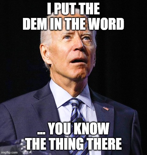 Joe Biden | I PUT THE DEM IN THE WORD ... YOU KNOW THE THING THERE | image tagged in joe biden | made w/ Imgflip meme maker