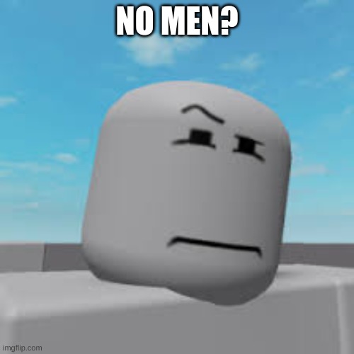 NO MEN? | NO MEN? | image tagged in fun,funny | made w/ Imgflip meme maker