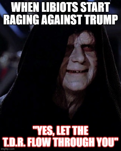 liberal fools | WHEN LIBIOTS START RAGING AGAINST TRUMP; "YES, LET THE T.D.R. FLOW THROUGH YOU" | image tagged in emporer palpatine | made w/ Imgflip meme maker
