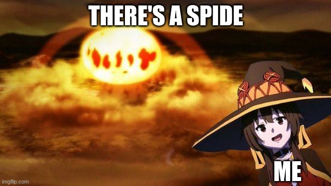 A man gotta do what a mans gotta  do | THERE'S A SPIDE; ME | image tagged in disaster girl anime megumin konosuba explotion | made w/ Imgflip meme maker