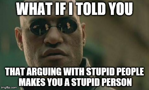But that IS what the internet is for... | WHAT IF I TOLD YOU THAT ARGUING WITH STUPID PEOPLE MAKES YOU A STUPID PERSON | image tagged in memes,matrix morpheus | made w/ Imgflip meme maker