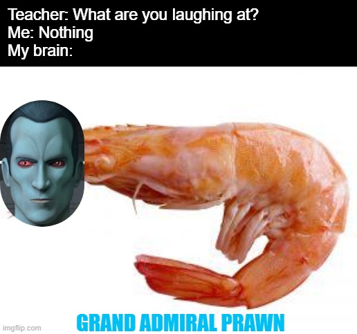 I finally got to Rebels Season 3 and THRAWN IS FREAKING AWESOME | Teacher: What are you laughing at?
Me: Nothing
My brain:; GRAND ADMIRAL PRAWN | image tagged in thrawn,rebels,star wars rebels,grand admiral thrawn | made w/ Imgflip meme maker