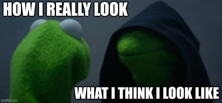 Evil Kermit | HOW I REALLY LOOK; WHAT I THINK I LOOK LIKE | image tagged in memes,evil kermit | made w/ Imgflip meme maker