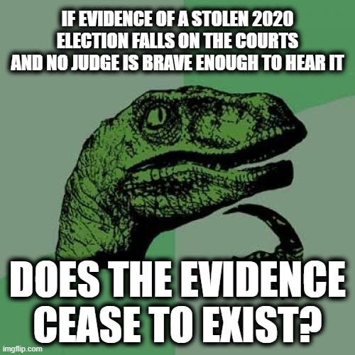 If a Tree Falls in the Woods and No One is There to Hear it . . . | IF EVIDENCE OF A STOLEN 2020 ELECTION FALLS ON THE COURTS AND NO JUDGE IS BRAVE ENOUGH TO HEAR IT; DOES THE EVIDENCE CEASE TO EXIST? | image tagged in memes,philosoraptor | made w/ Imgflip meme maker