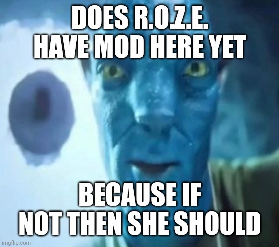 Avatar guy | DOES R.O.Z.E. HAVE MOD HERE YET; BECAUSE IF NOT THEN SHE SHOULD | image tagged in avatar guy | made w/ Imgflip meme maker